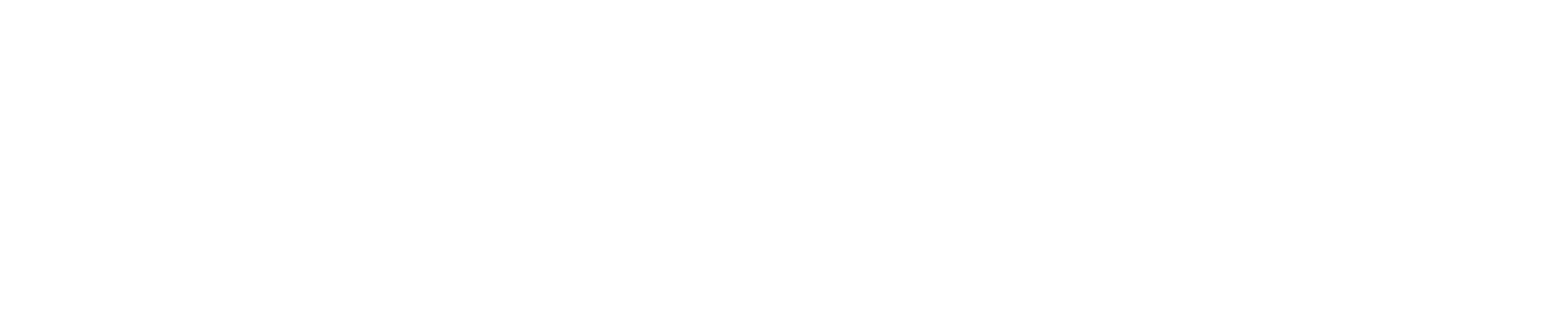 Safeguard Veterans